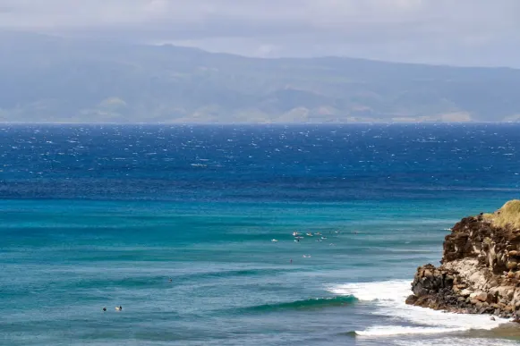 Casombie Casino Ënnerstëtzung